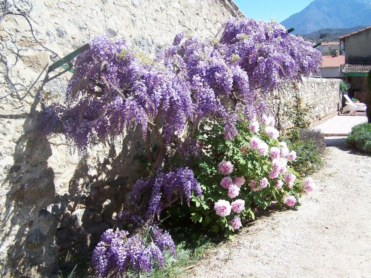 Bed & Breakfast Maison 225 Prades (Pyrenees-Orientales)